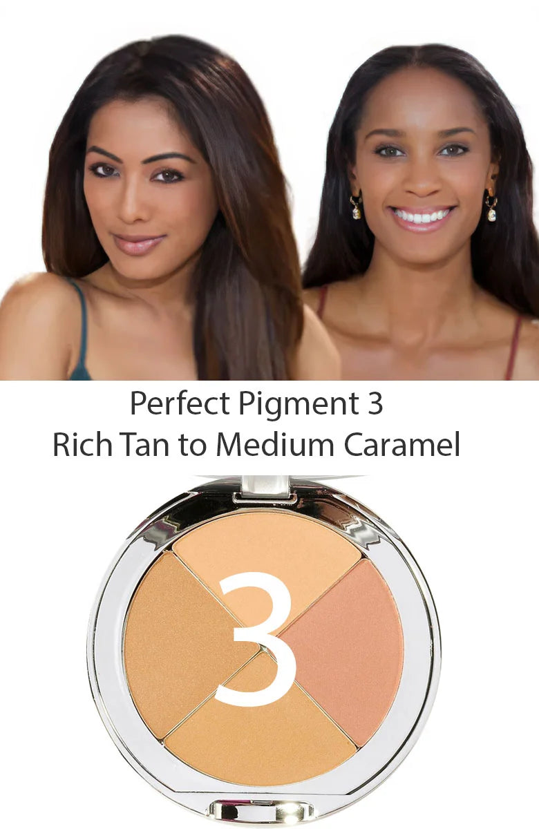 Perfect Pigment 3 Kit with Free Gift